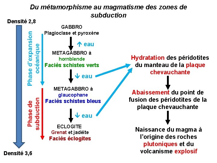 Du métamorphisme au magmatisme des zones de subduction Densité 2, 8 GABBRO Plagioclase et