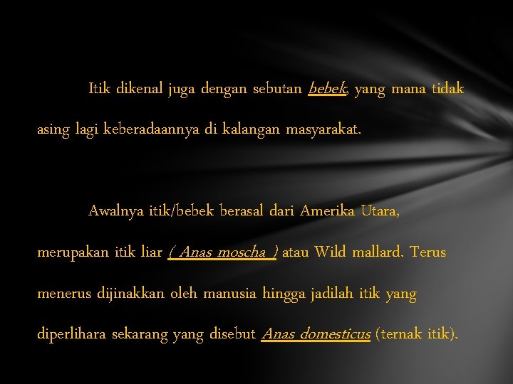 Itik dikenal juga dengan sebutan bebek, yang mana tidak asing lagi keberadaannya di kalangan