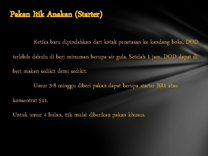 Pakan Itik Anakan (Starter) Ketika baru dipindahkan dari kotak penetasan ke kandang boks, DOD