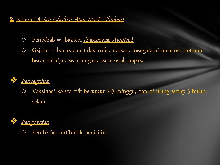 2. Kolera (Avian Cholera Atau Duck Cholera) o Penyebab => bakteri (Pasteurela Avidica). o