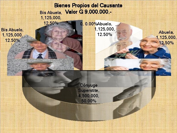 Bienes Propios del Causante Bis Abuela, Valor G 9. 000. 1, 125, 000, 12.