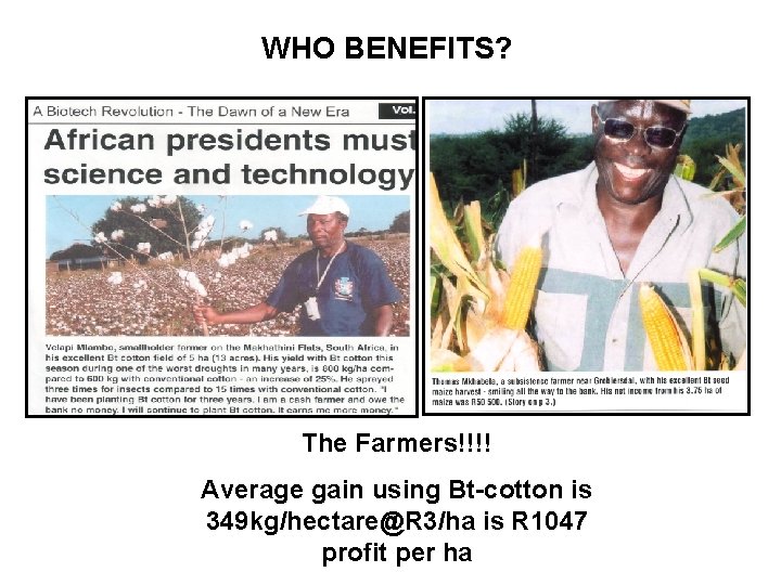 WHO BENEFITS? The Farmers!!!! Average gain using Bt-cotton is 349 kg/hectare@R 3/ha is R