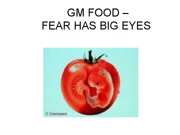 GM FOOD – FEAR HAS BIG EYES 
