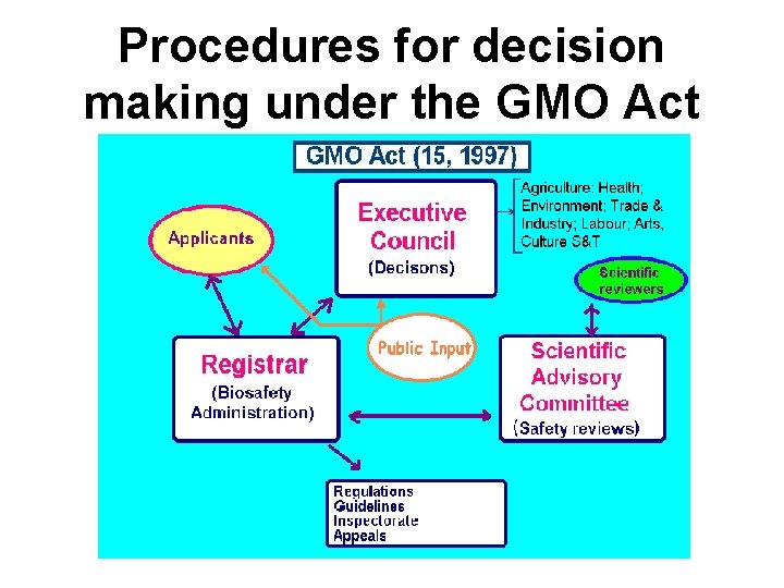 Procedures for decision making under the GMO Act 