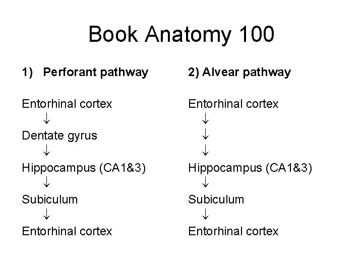 Book Anatomy 100 1) Perforant pathway 2) Alvear pathway Entorhinal cortex Dentate gyrus Hippocampus