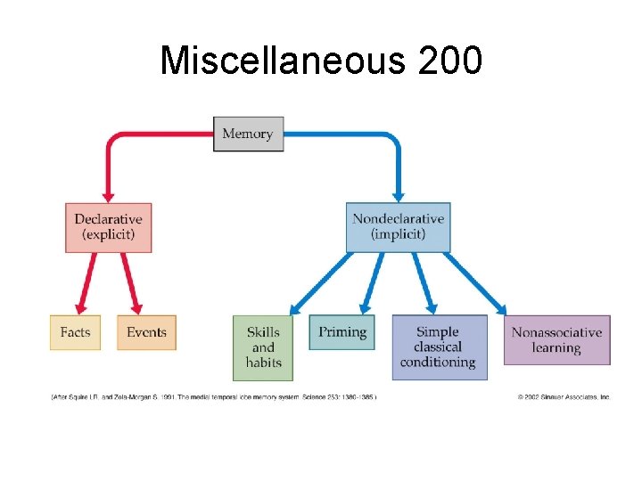 Miscellaneous 200 