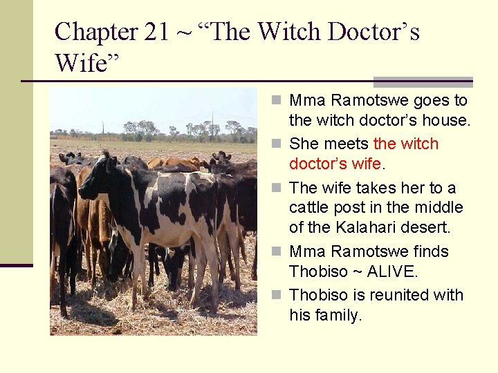 Chapter 21 ~ “The Witch Doctor’s Wife” n Mma Ramotswe goes to n n
