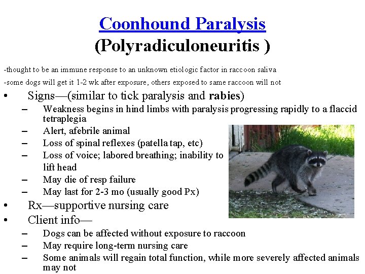 Coonhound Paralysis (Polyradiculoneuritis ) -thought to be an immune response to an unknown etiologic