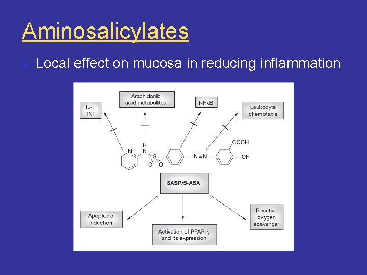 Aminosalicylates n Local effect on mucosa in reducing inflammation 