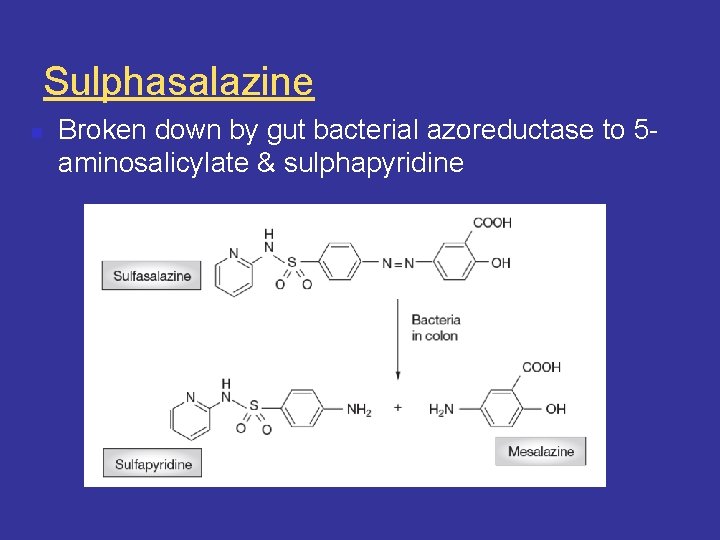Sulphasalazine n Broken down by gut bacterial azoreductase to 5 aminosalicylate & sulphapyridine 