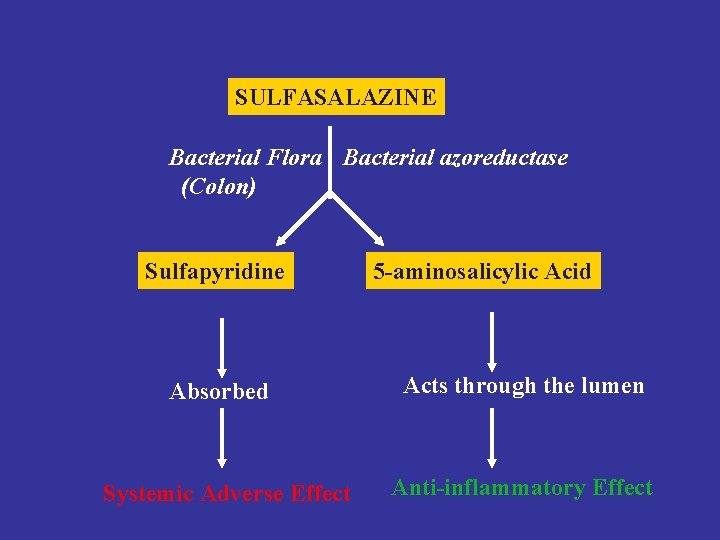 SULFASALAZINE Bacterial Flora Bacterial azoreductase (Colon) Sulfapyridine Absorbed Systemic Adverse Effect 5 -aminosalicylic Acid