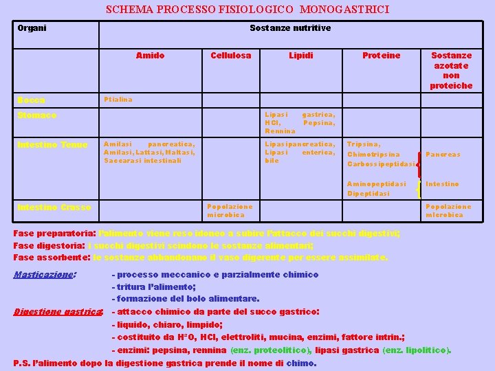 SCHEMA PROCESSO FISIOLOGICO MONOGASTRICI Organi Sostanze nutritive Amido Bocca Cellulosa Proteine Lipasi gastrica, HCl,