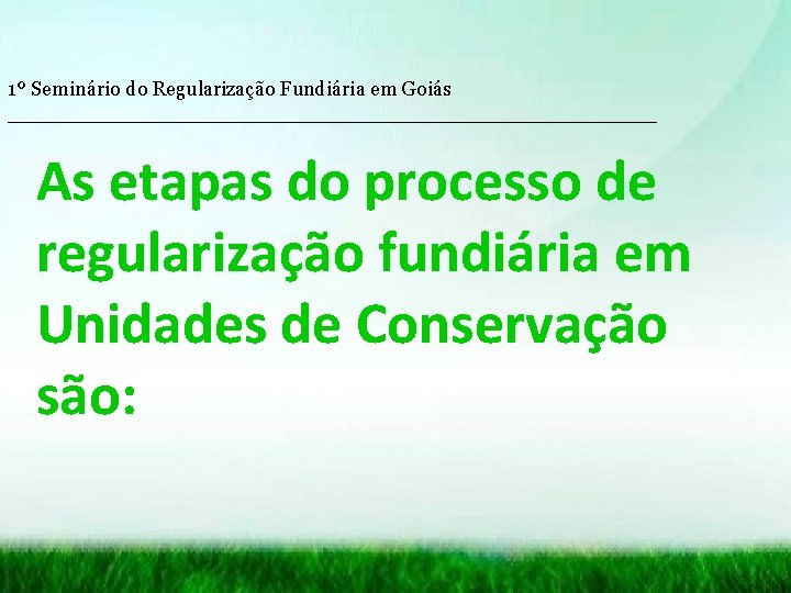 1º Seminário do Regularização Fundiária em Goiás __________________________ As etapas do processo de regularização