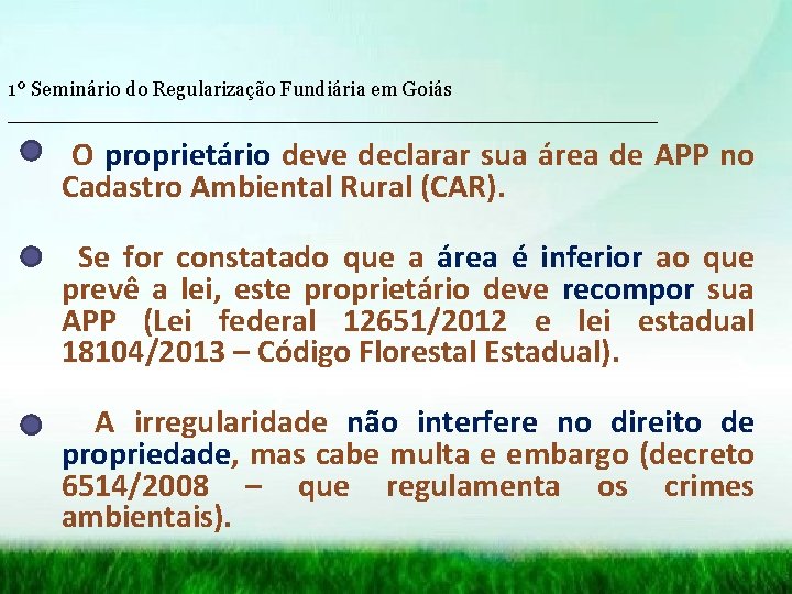 1º Seminário do Regularização Fundiária em Goiás __________________________ O proprietário deve declarar sua área