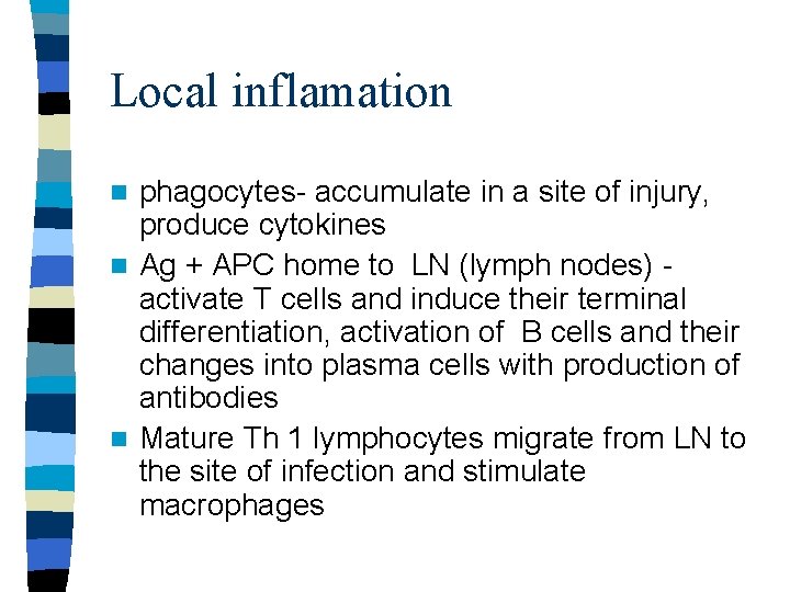 Local inflamation phagocytes- accumulate in a site of injury, produce cytokines n Ag +