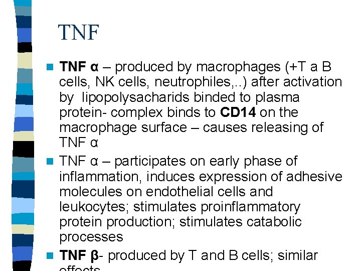 TNF α – produced by macrophages (+T a B cells, NK cells, neutrophiles, .