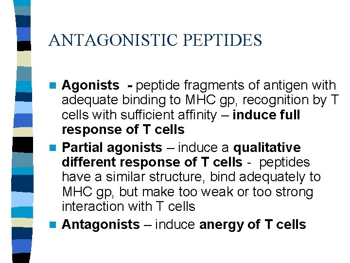 ANTAGONISTIC PEPTIDES Agonists - peptide fragments of antigen with adequate binding to MHC gp,