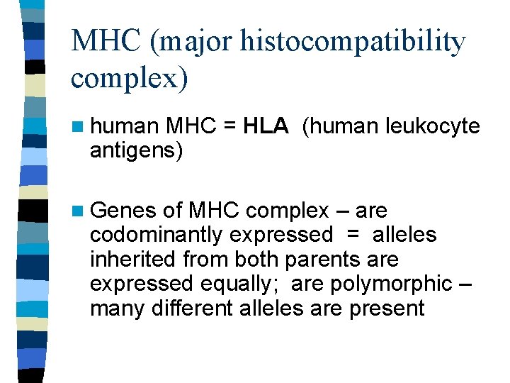 MHC (major histocompatibility complex) n human MHC = HLA (human leukocyte antigens) n Genes