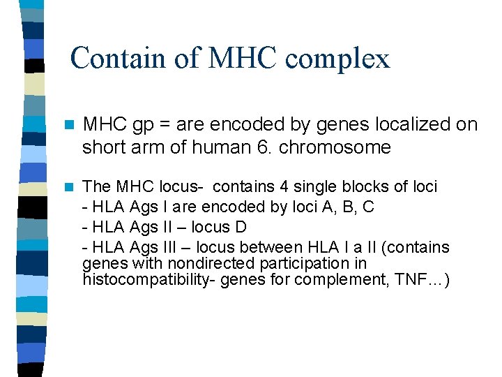 Contain of MHC complex n MHC gp = are encoded by genes localized on