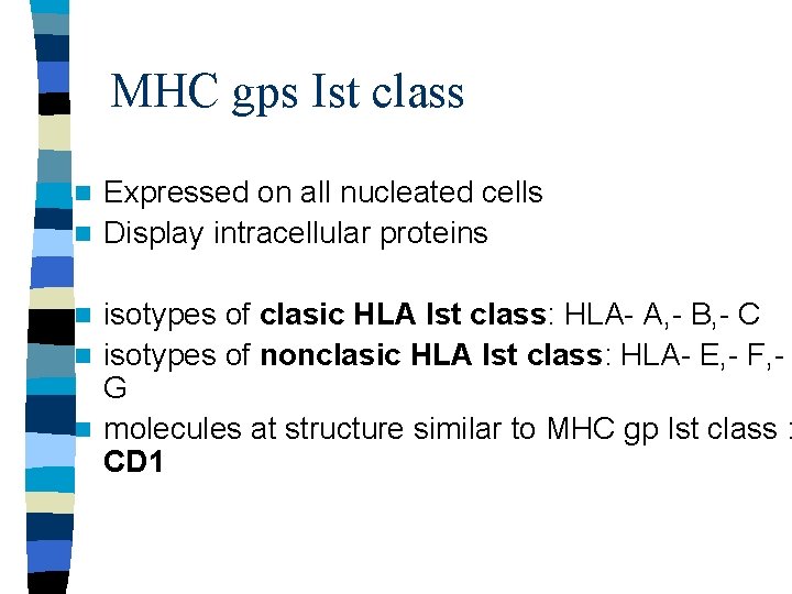 MHC gps Ist class Expressed on all nucleated cells n Display intracellular proteins n