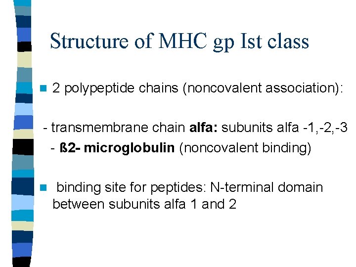 Structure of MHC gp Ist class n 2 polypeptide chains (noncovalent association): - transmembrane