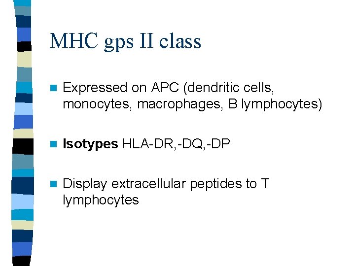 MHC gps II class n Expressed on APC (dendritic cells, monocytes, macrophages, B lymphocytes)