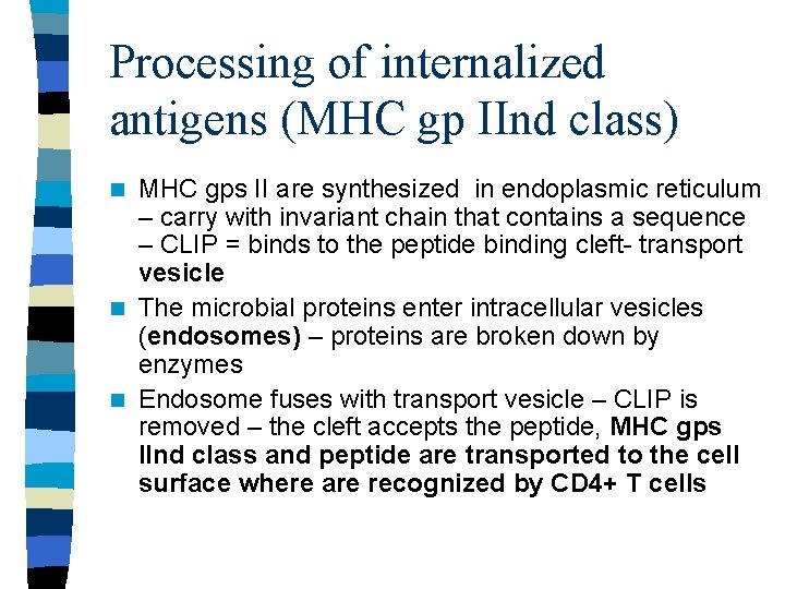 Processing of internalized antigens (MHC gp IInd class) MHC gps II are synthesized in