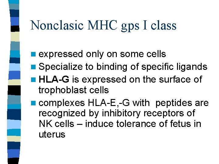 Nonclasic MHC gps I class n expressed only on some cells n Specialize to