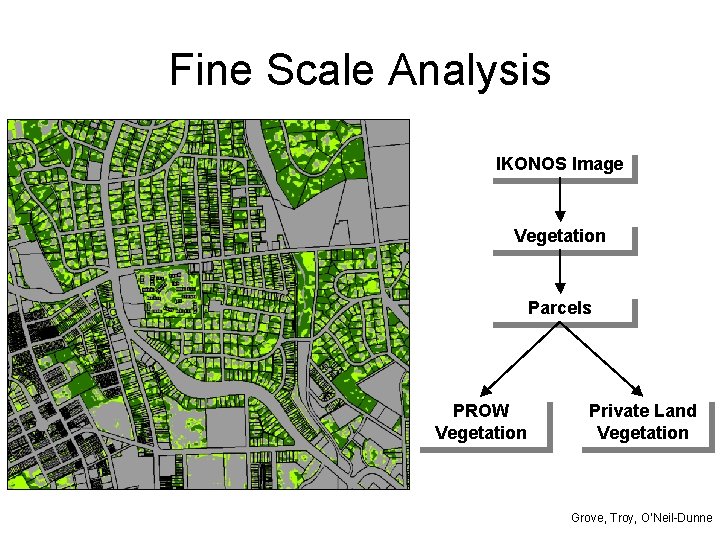 Fine Scale Analysis IKONOS Image Vegetation Parcels PROW Vegetation Private Land Vegetation Grove, Troy,