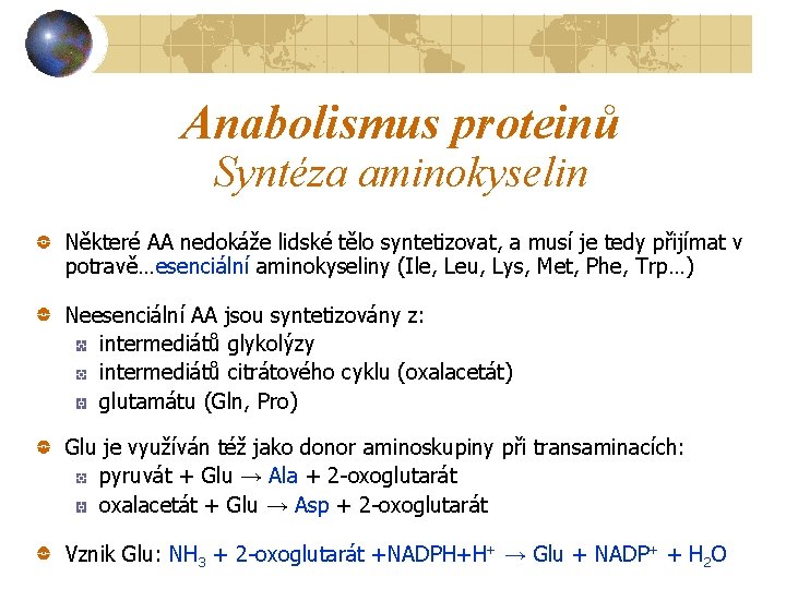 Anabolismus proteinů Syntéza aminokyselin Některé AA nedokáže lidské tělo syntetizovat, a musí je tedy