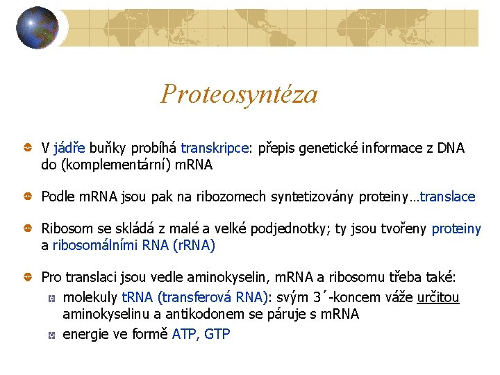 Proteosyntéza V jádře buňky probíhá transkripce: přepis genetické informace z DNA do (komplementární) m.