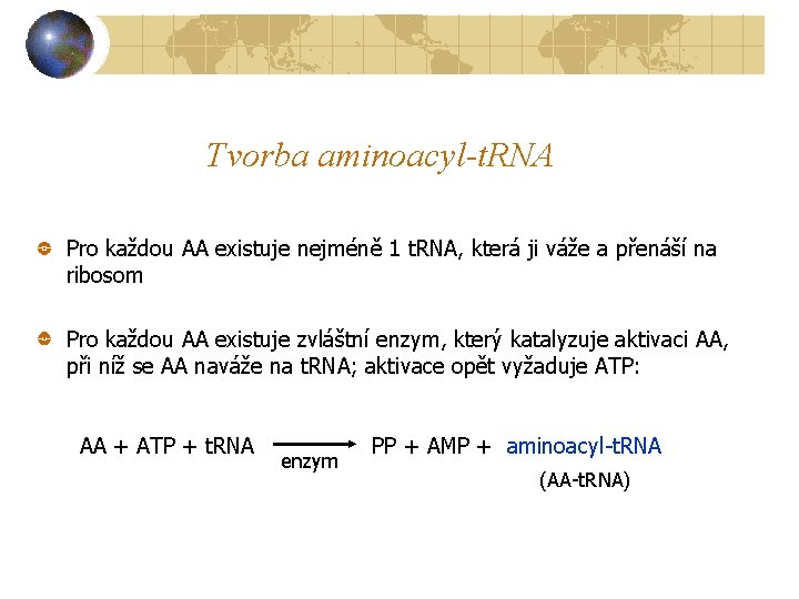 Tvorba aminoacyl-t. RNA Pro každou AA existuje nejméně 1 t. RNA, která ji váže