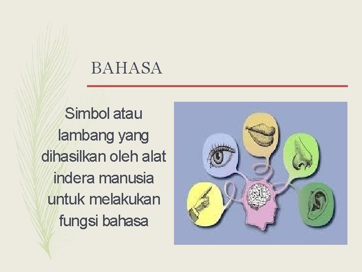 BAHASA Simbol atau lambang yang dihasilkan oleh alat indera manusia untuk melakukan fungsi bahasa
