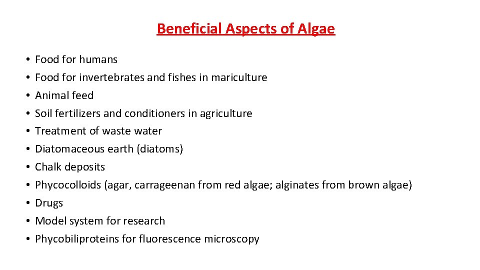 Beneficial Aspects of Algae • • • Food for humans Food for invertebrates and