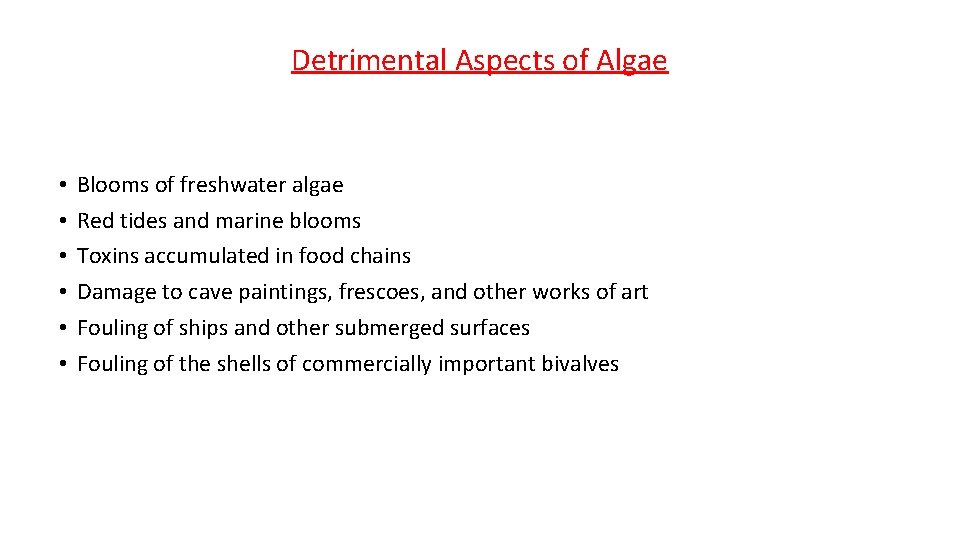 Detrimental Aspects of Algae • • • Blooms of freshwater algae Red tides and