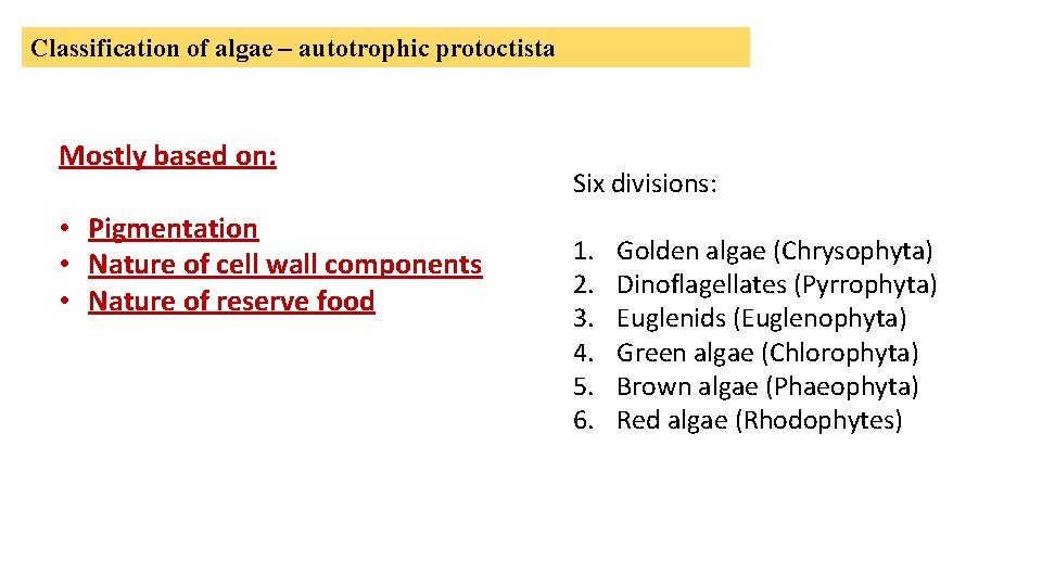Classification of algae – autotrophic protoctista Mostly based on: • Pigmentation • Nature of