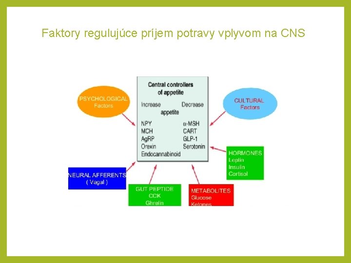 Faktory regulujúce príjem potravy vplyvom na CNS 
