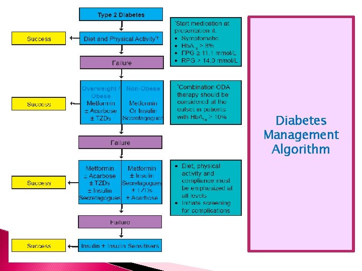 Diabetes Management Algorithm 