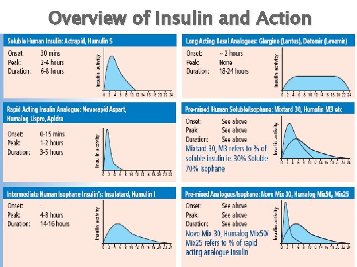 Overview of Insulin and Action 