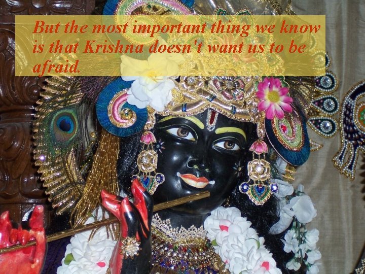But the most important thing we know is that Krishna doesn't want us to
