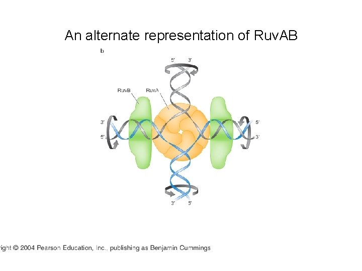 An alternate representation of Ruv. AB 