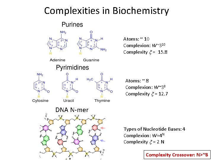 Complexities in Biochemistry Atoms: ~ 10 Complexion: W~310 Complexity x = 15. 8 Atoms: