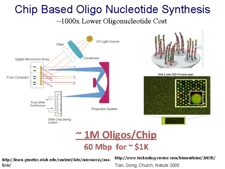 Chip Based Oligo Nucleotide Synthesis ~1000 x Lower Oligonucleotide Cost ~ 1 M Oligos/Chip