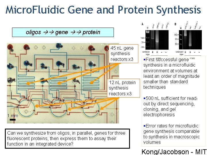 Micro. Fluidic Gene and Protein Synthesis oligos gene protein 45 n. L gene synthesis