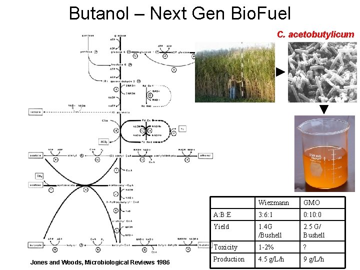 Butanol – Next Gen Bio. Fuel C. acetobutylicum Jones and Woods, Microbiological Reviews 1986