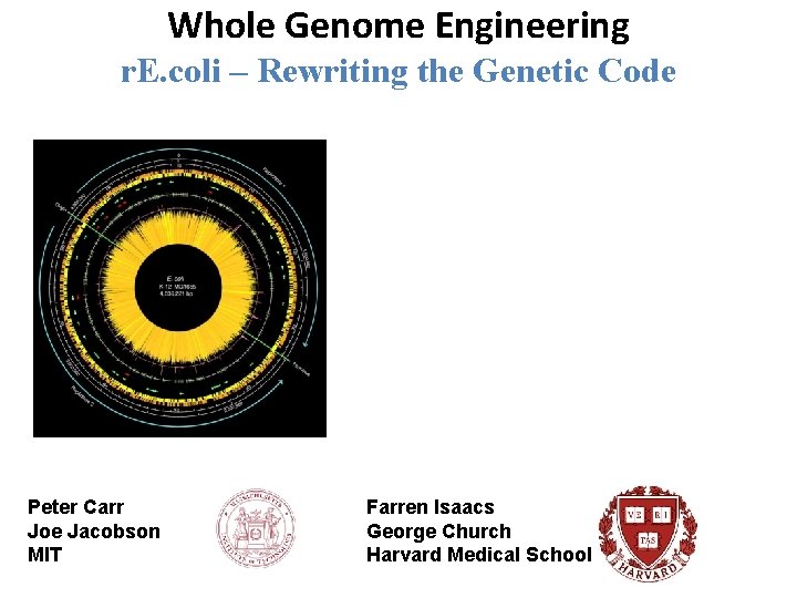 Whole Genome Engineering r. E. coli – Rewriting the Genetic Code Peter Carr Joe