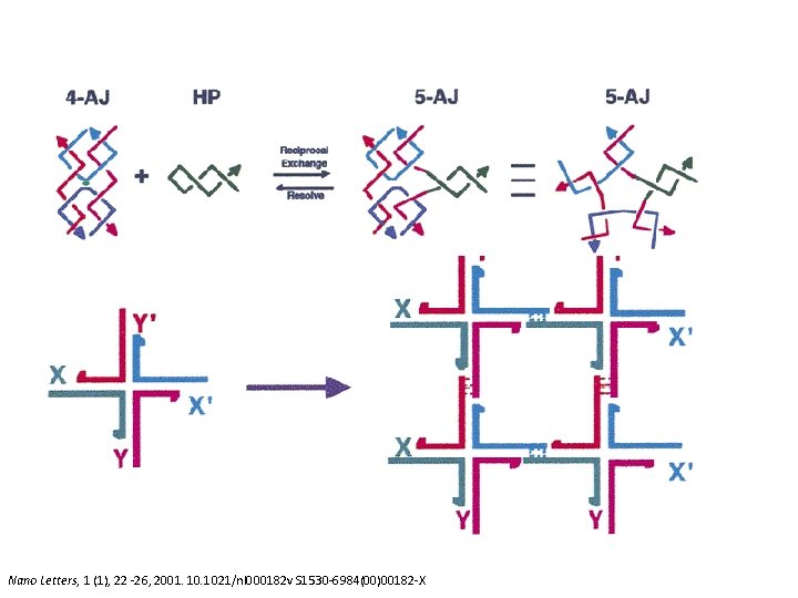 Holliday Junctions Nano Letters, 1 (1), 22 -26, 2001. 1021/nl 000182 v S 1530