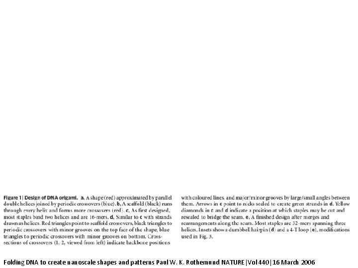 Folding DNA to create nanoscale shapes and patterns Paul W. K. Rothemund NATURE|Vol 440|16