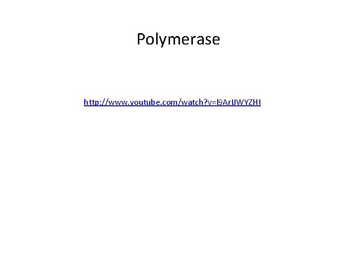 Polymerase http: //www. youtube. com/watch? v=I 9 Ar. IJWYZHI 