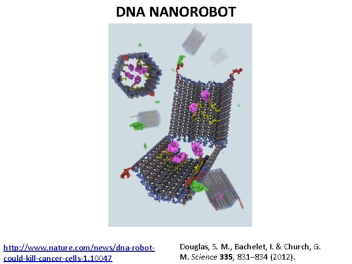 DNA NANOROBOT http: //www. nature. com/news/dna-robotcould-kill-cancer-cells-1. 10047 Douglas, S. M. , Bachelet, I. &